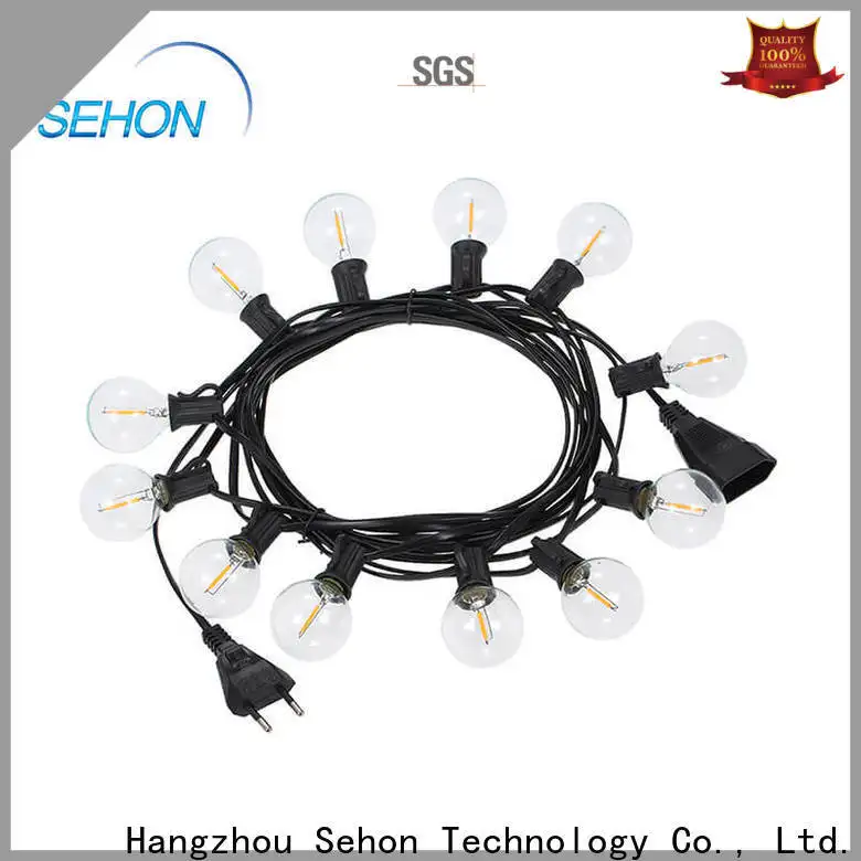 High-quality small string lights Suppliers used on holidays 1