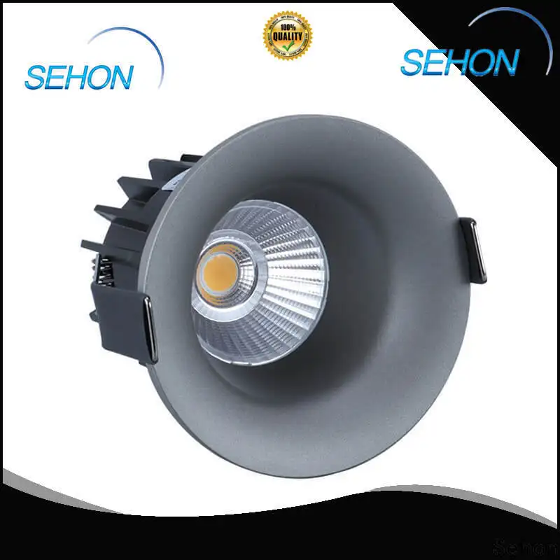 Sehon Custom modern downlights company for hotel lighting 1
