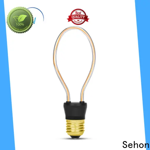 Custom led filament globe Suppliers used in living rooms 1