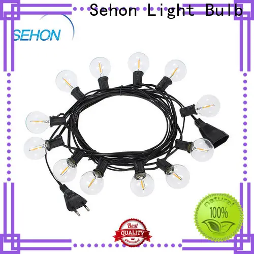 Sehon Latest bright led rope lights Supply used on holidays 1