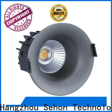 Sehon buy led down lights factory for hotel lighting 1
