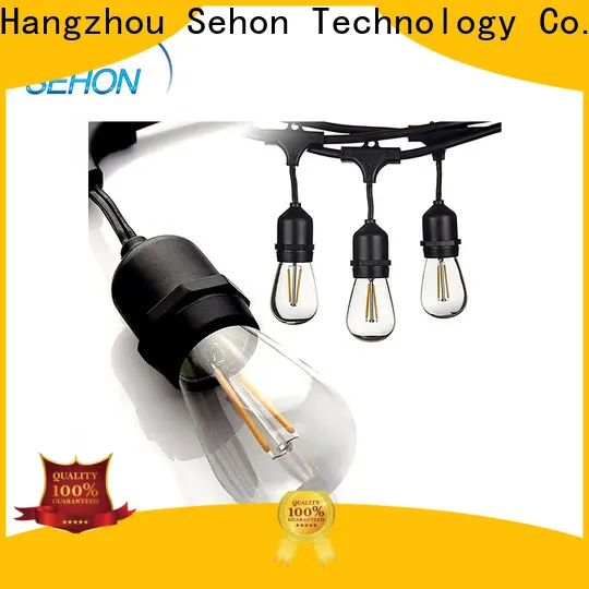 Sehon warm white led string lights for business used on Halloween 1