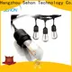 Sehon warm white led string lights for business used on Halloween 1