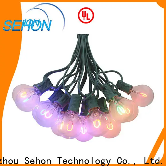 Sehon Custom white strand led christmas lights Supply used on Halloween 1