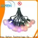 Sehon Custom white strand led christmas lights Supply used on Halloween 1