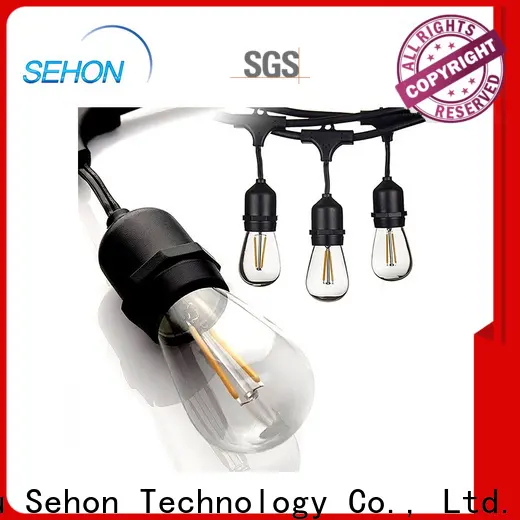 Sehon plug in outdoor string lights Supply used on Halloween 1