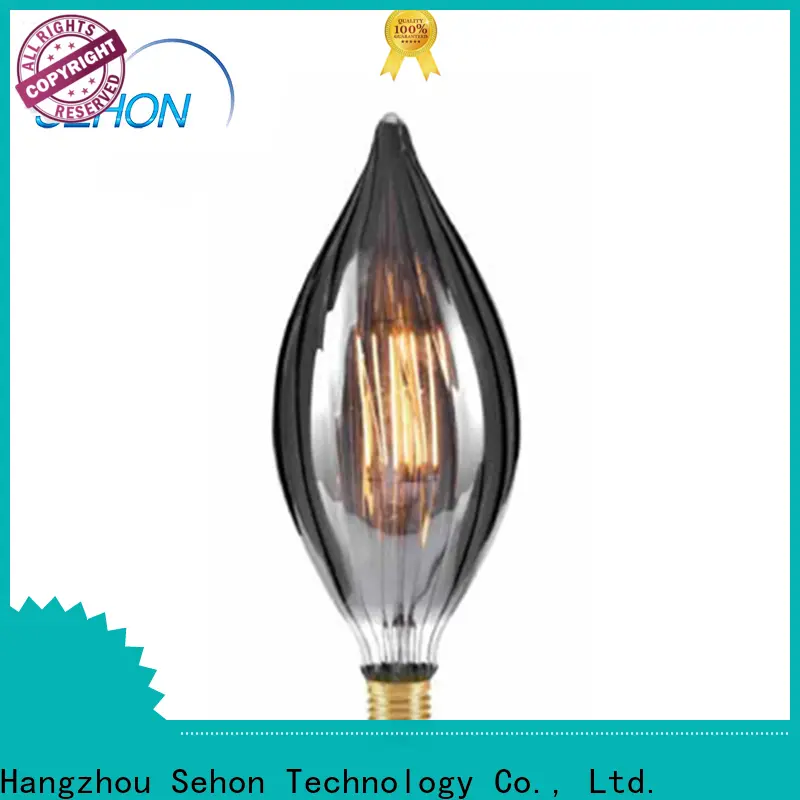 Sehon Latest retro led lights company for home decoration 1