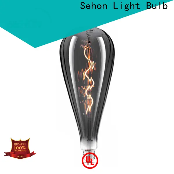 Sehon globe led bulb factory for home decoration 1