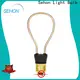 Sehon einstein bulb manufacturers for home decoration 1