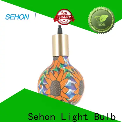 Sehon Top retro led filament bulb Supply used in bathrooms 1