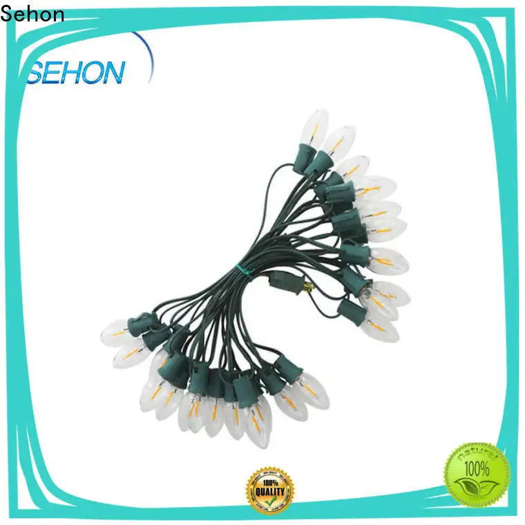 New christmas tree led string lights company used on Halloween 1