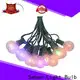 Sehon outdoor led string Supply used on Christmas 1
