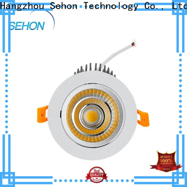 Top downlights in ceiling Suppliers for home lighting 1