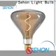 Sehon Top 100 watt vintage bulb factory used in bedrooms 1