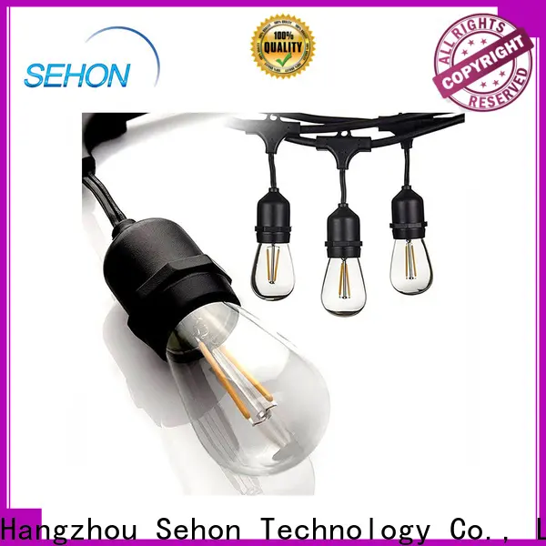 Sehon flexible led rope lights for business used on Halloween 1