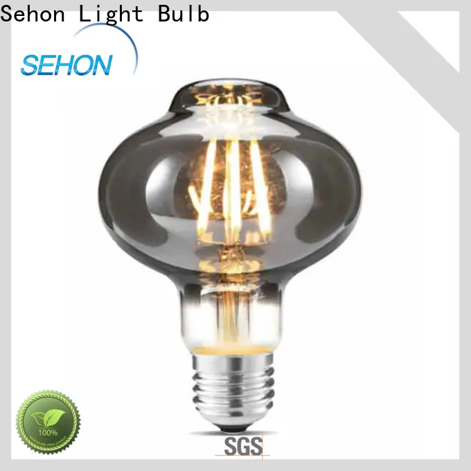 Sehon Top vintage filament globe for business for home decoration 1