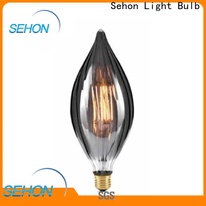 Sehon Wholesale where to buy vintage light bulbs for business for home decoration 1