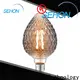 Sehon Best a19 vintage led light bulb Suppliers used in bathrooms 1