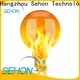 Sehon dimmable filament bulb Supply for home decoration 1