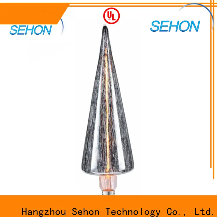 Best large led edison bulb Suppliers used in bathrooms 1