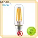 Custom led filament light bulbs factory used in bathrooms 1