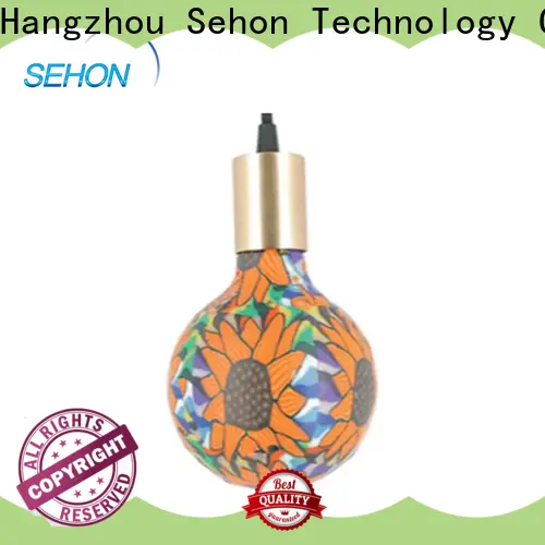 Sehon High-quality brightest led edison bulb manufacturers used in living rooms 1
