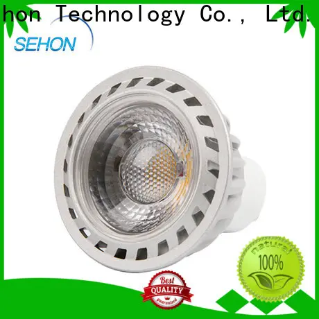 Sehon Best flood light globe factory used in hotels lighting 1