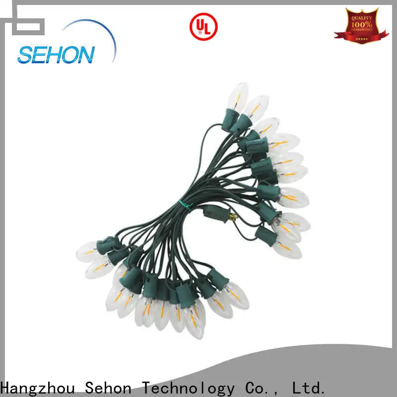 Custom mini led rope lights for business used on Christmas 1