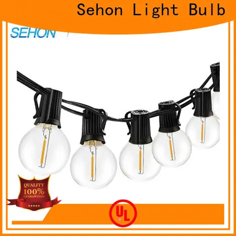 Top clear led string lights Suppliers used on holidays 1