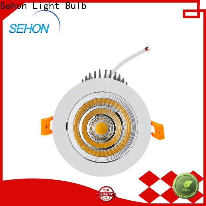 Sehon down lamp for business for home lighting 1