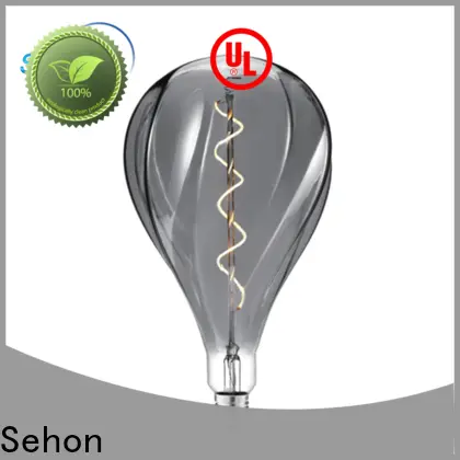 Sehon globe led bulb Supply used in bathrooms 1