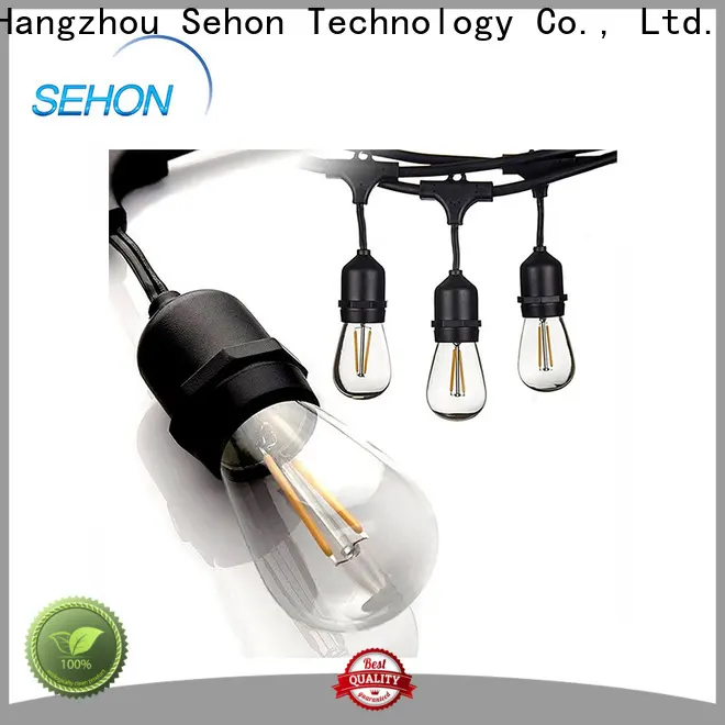 Sehon led bulb string lights factory used on Halloween 1