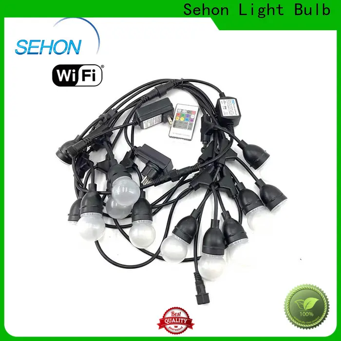 Sehon Wholesale led globe string lights white wire manufacturers used on Halloween 1