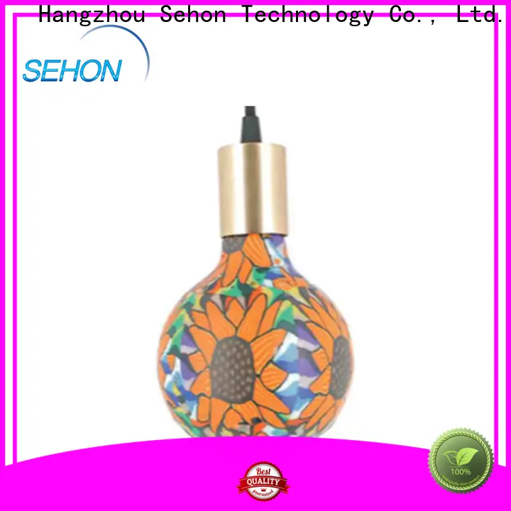 Sehon New old fashioned bulbs company used in bathrooms 1
