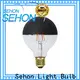 New edison light bulb 100 watt Supply for home decoration 1