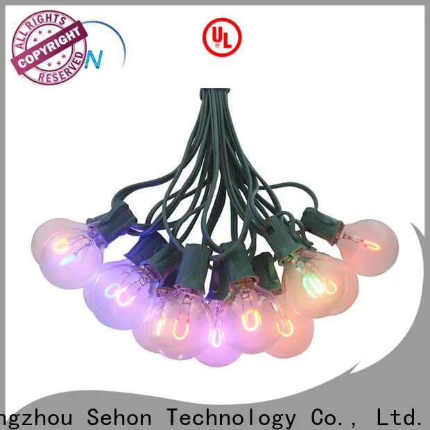 Custom led party string lights Supply used on Halloween 1