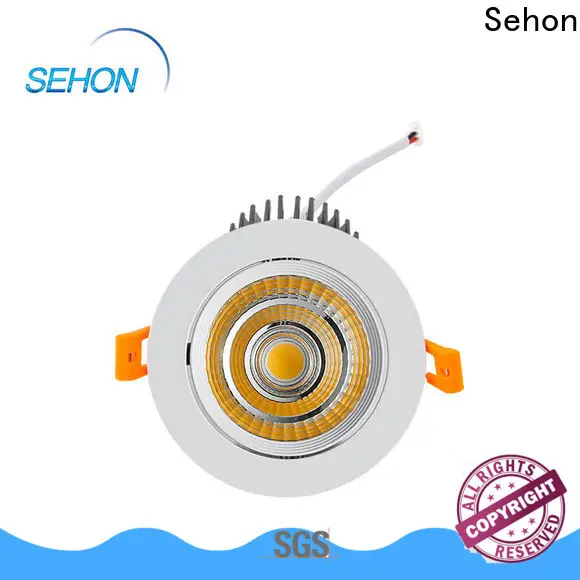 Sehon Custom led down lights for bathroom company for home lighting 1