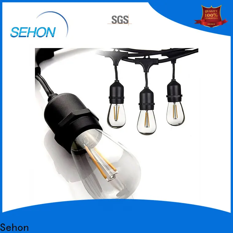 High-quality string lights without plug Supply used on Christmas 1