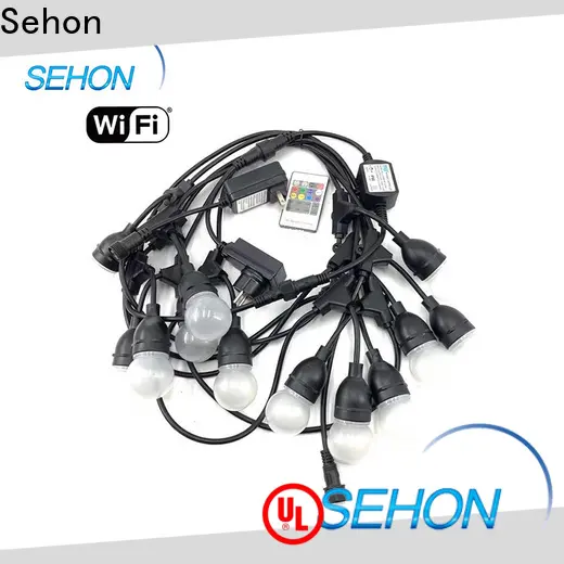 Sehon electric led string lights factory used on Halloween 1