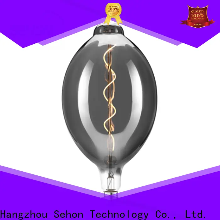 Sehon Wholesale 60 watt edison style bulb company used in bathrooms 1