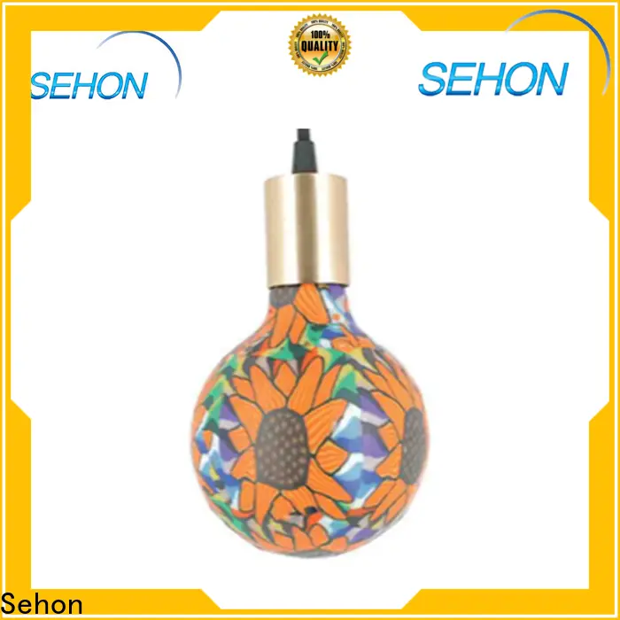Sehon Best where can i buy edison bulbs manufacturers used in bedrooms 1