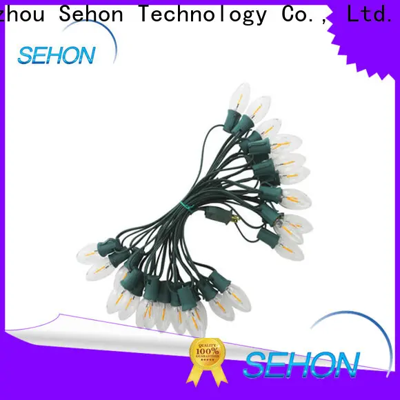 Sehon tube rope lights company used on Halloween 1