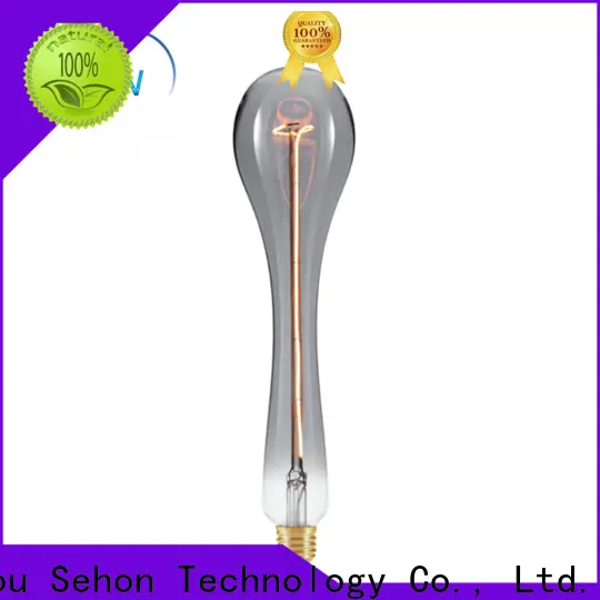 Sehon filament style led bulb factory used in living rooms 1