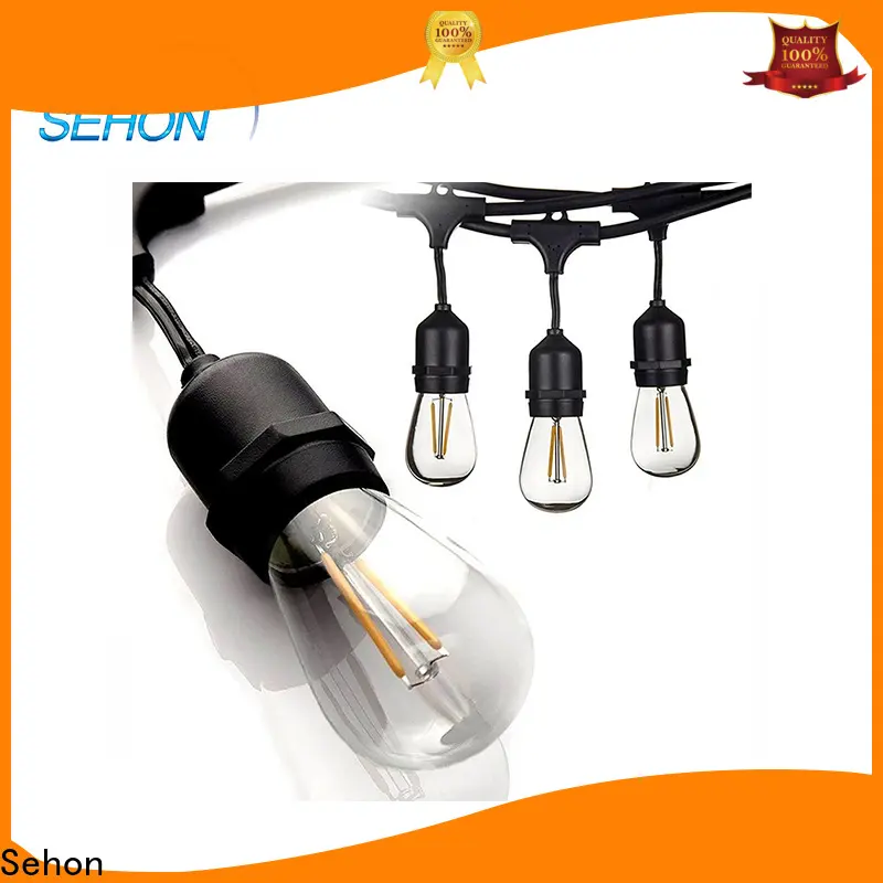 Sehon New electric string lights decorative Suppliers used on Halloween 1