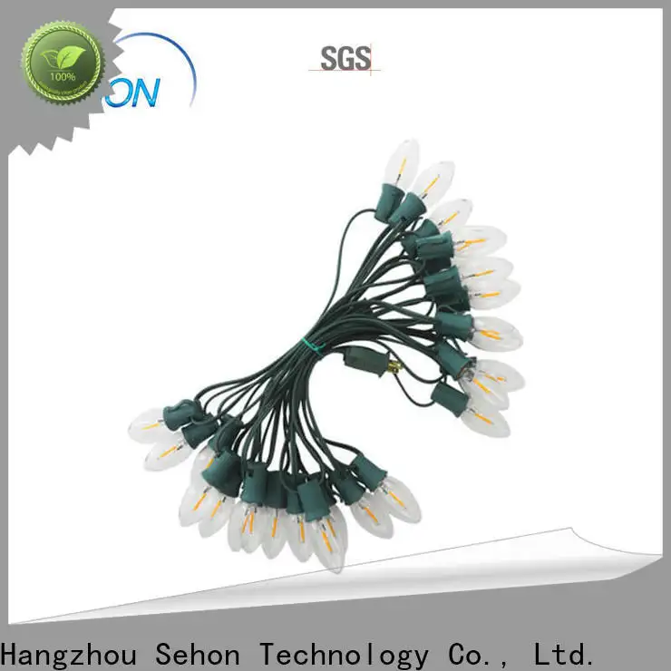 Sehon bright rope lights Suppliers used on Halloween 1