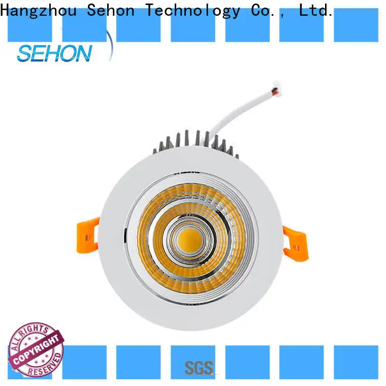 Top philips led down light manufacturers for hotel lighting 1