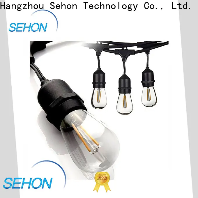 Sehon New clear led rope lights Suppliers used on Christmas 1