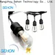Sehon New clear led rope lights Suppliers used on Christmas 1