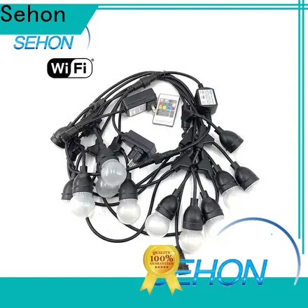 High-quality clear rope lights outdoor Suppliers used on Christmas 1