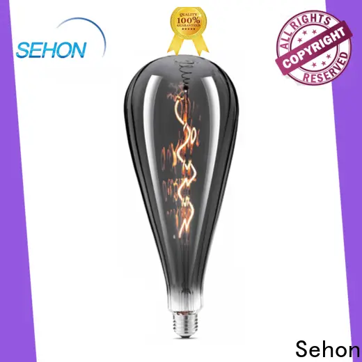 Sehon led edison globes company used in bathrooms 1